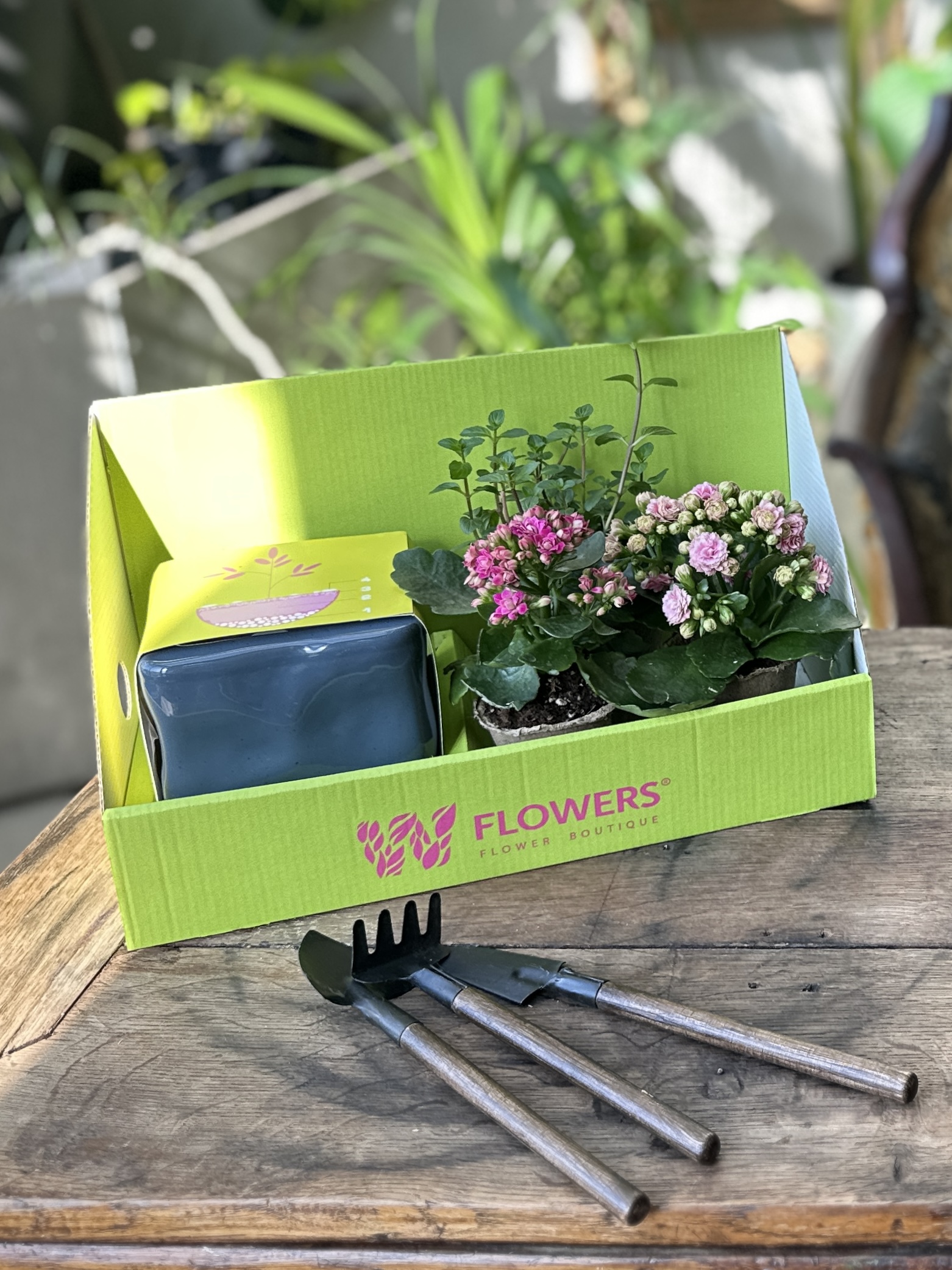 Набор для самостоятельной высадки с цветущими M