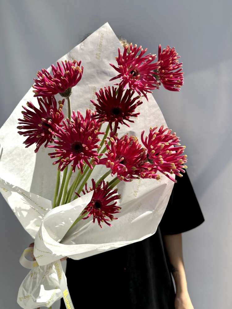 Гербера (поштучно)