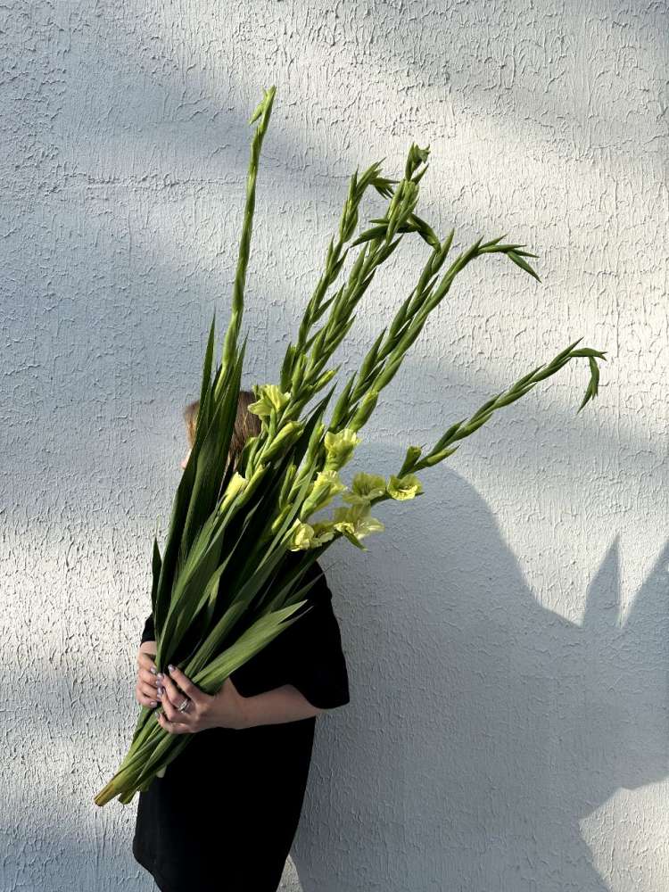 Гладиолусы (поштучно)