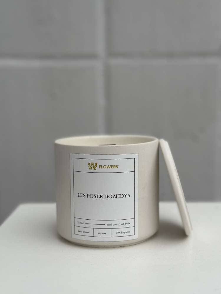 Свеча LES POSLE DOZHDYA, 210 мл