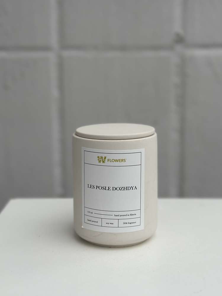 Свеча LES POSLE DOZHDYA, 110 мл