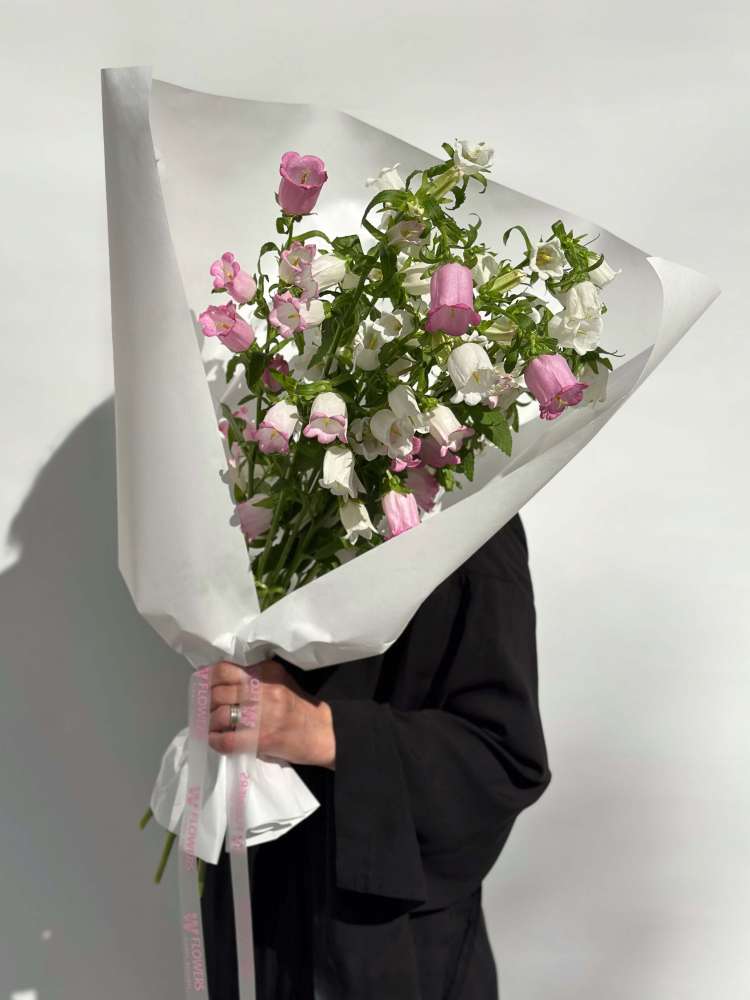 Монобукет из кампанулы